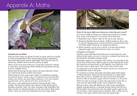 Southern Ontario Butterflies pages 64-65