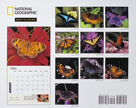 National Geographic Butterfly Calendar back