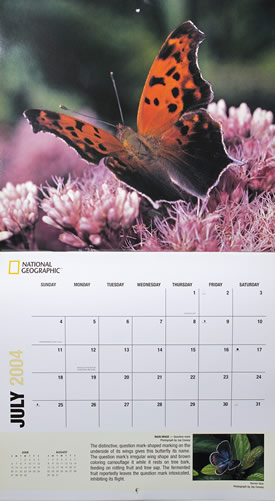 National Geographic Butterfly Calendar July spread